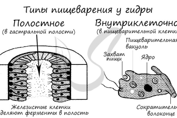 Кракен маркет kr2web in