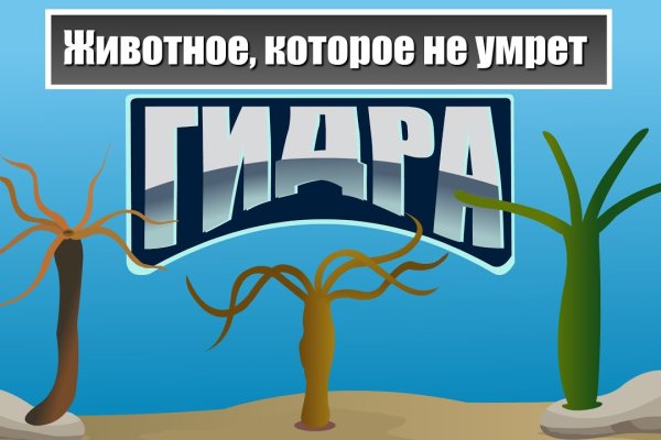 Кракен даркнет текст