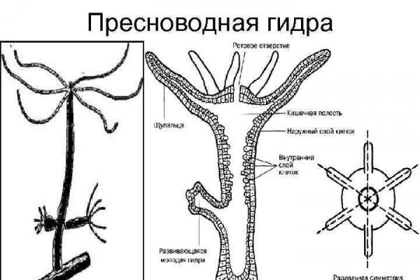 Кракен вход официальная ссылка