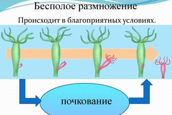 Новый адрес кракен