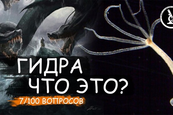 Kraken как найти ссылку