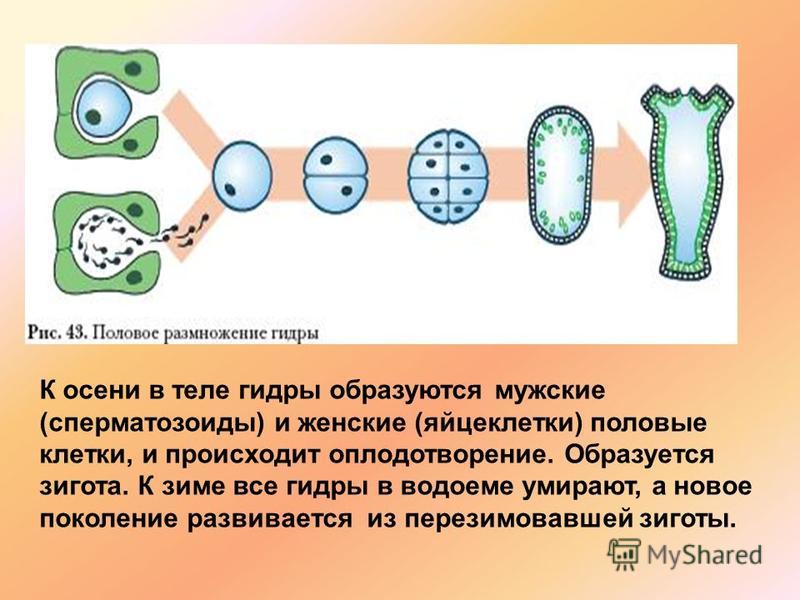 Вход на кракен зеркало